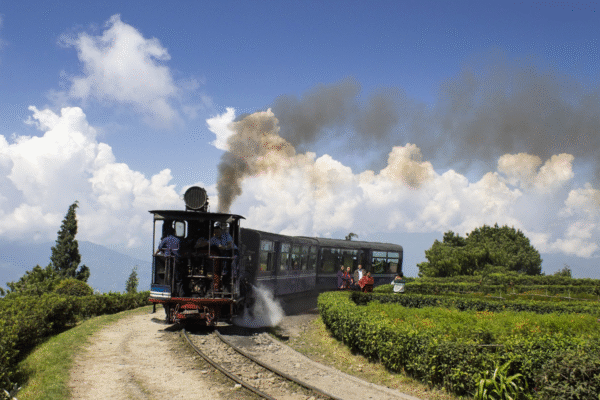 Darjeeling Delight Tour Package
