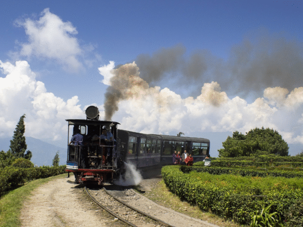 Darjeeling Delight Tour Package