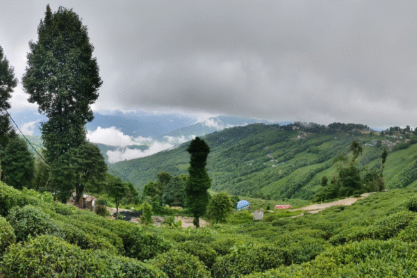 North Bengal Offbeat Trails