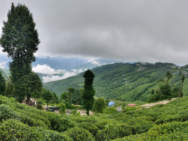 North Bengal Offbeat Trails