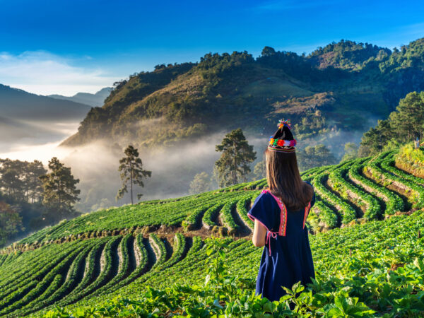 Darjeeling–Kalimpong Harmony Tour